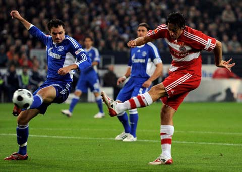 态投入其中 态投入其中